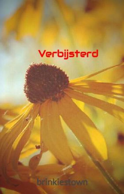 Verbijsterd by brinkiestown