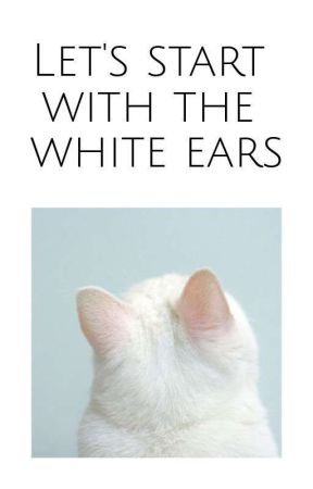 Let's start with the white ears | Ziall by I_am_Teenage