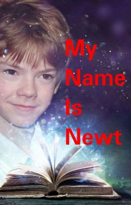 MY NAME IS NEWT - PREQUEL DI ISAAC NEWTON   cover