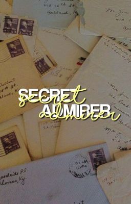 SECRET ADMIRER  cover