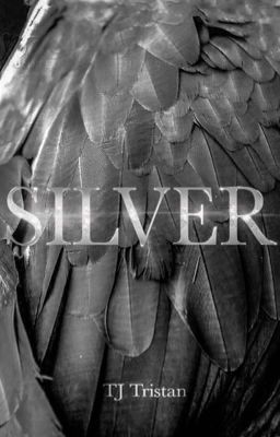 Silver cover