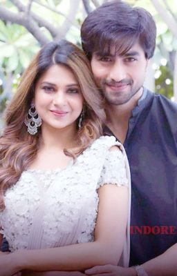 The Jenshad Diaries cover