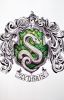 My Slytherin Prince ( Discontinued Version )