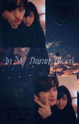 In my damn Blood  [Minsung - HP AU] ✔️ cover