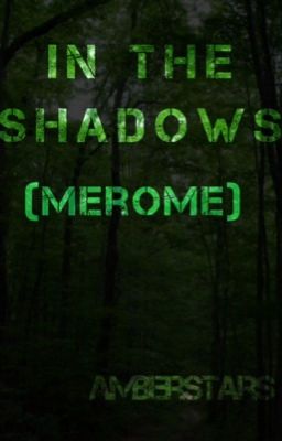 In the Shadows (Merome) cover