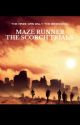 Maze Runner The Scorch Trials |Newt X Reader| by PerryladyIsDaBomb