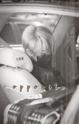 opposite § han jisung  cover