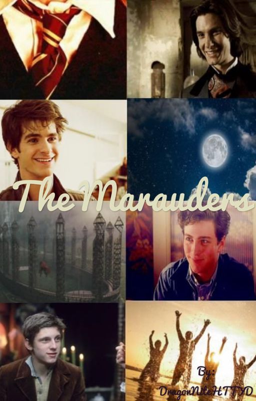 Marauders x Readers (Request closed) by DragonNiteHTTYD