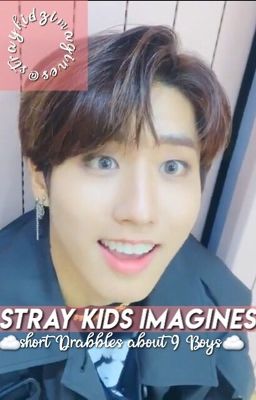 Stray Kids Imagines (Oneshots)  cover