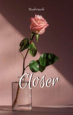 Closer cover