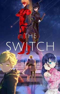 The Switch cover