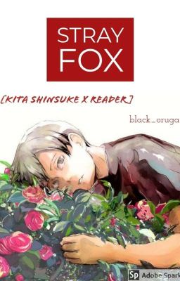 STRAY FOX [Kita Shinsuke x Reader] cover