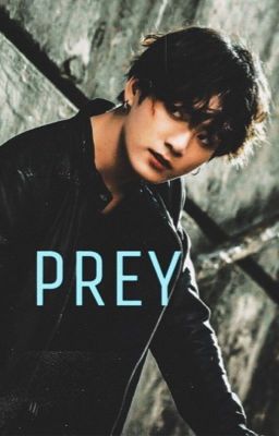 PREY ✔️| Jung Kook cover