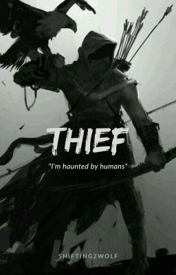 Thief cover