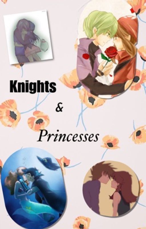 Knights & Princesses by fanfictionlovergirl