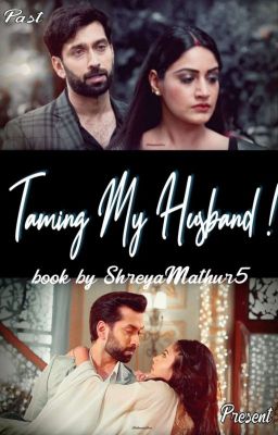 Taming my Husband  cover