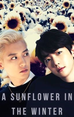 A Sunflower in the Winter - ChanBaek cover