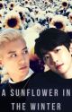 A Sunflower in the Winter - ChanBaek by creggcell