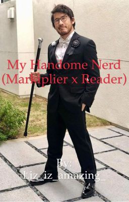 My handsome nerd (A Markiplier x Reader) (DISCONTINUED) cover