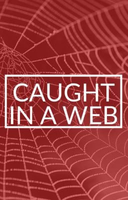 Caught In A Web cover