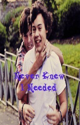 Never Knew I Needed - Larry Stylinson AU cover