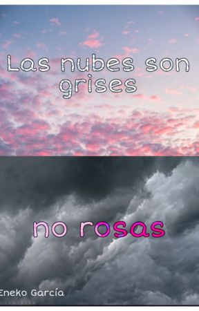 Las nubes son grises, no rosas by eneko_ga