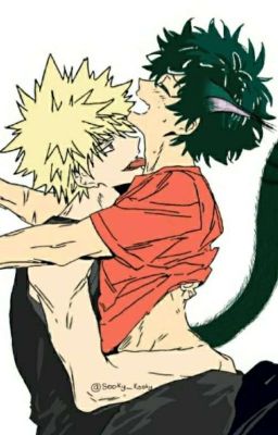 Lucky find |- BakuDeku -|(Original Story) cover