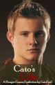 Cato's Life Book 1 (Watty Awards 2012) by ItsAMetaphor1020