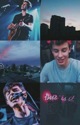 The Story of how we met- A Shawn Mendes fanfiction cover