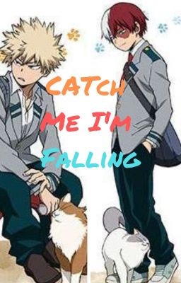 Catch Me I'm Falling (Todoroki x Reader x Bakugo) cover