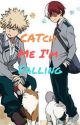 Catch Me I'm Falling (Todoroki x Reader x Bakugo) by Catcchan