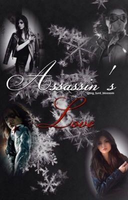 Assassin's Love (Bucky Barnes/Winter Soldier Fan Fiction) cover