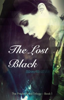 The Lost Black (The Predestined Trilogy - Bk 1) (A HP FanFic) cover