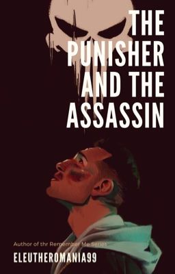 The Punisher and The Assassin  cover