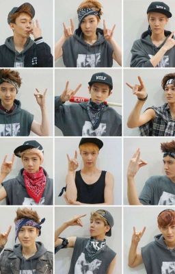 Exo Members Profile: EXO Ideal Type, Fun Facts cover