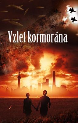 Vzlet kormorána cover