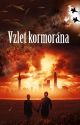 Vzlet kormorána by Ailitia