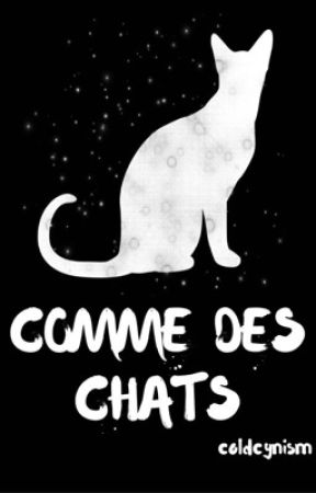 COMME DES CHATS by tenofnvmbr