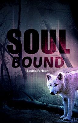 Soul Bound (Completed) cover