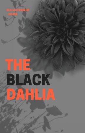 The Black Dahlia (A Michaeng Fanfic) by chaengie_cub