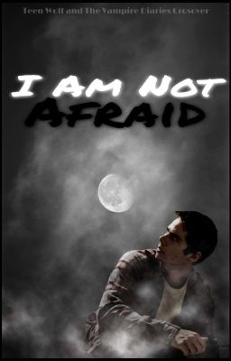 I Am Not Afraid / Stiles Stilinski / discontinued  cover