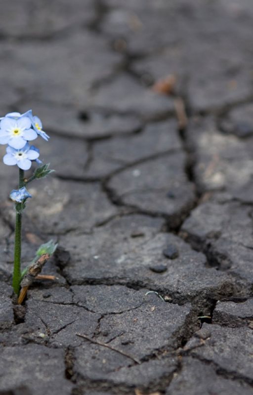 HOPE by JuanjoseFigueroaLand