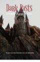 Dark Pasts { A Harry Potter Story }  by legolasbadass