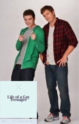 The Life of a Gay Teenager cover