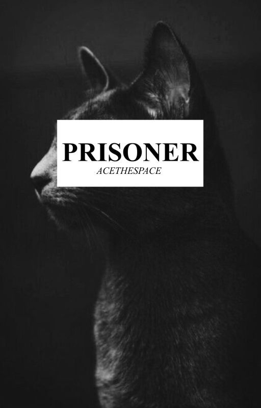 Prisoner | warrior cats by -acethespace