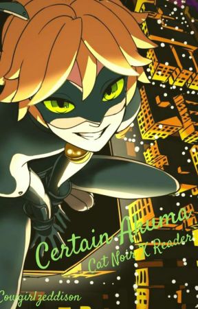 Certain Akuma {Cat Noir X  Reader} by cowgirlzeddison