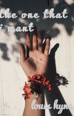 ✰ ❁ the one that i want ❁ ✰ l.hynes COMPLETE cover