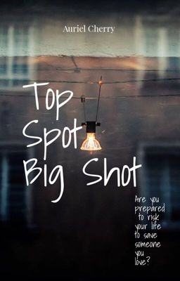 Top Spot, Big Shot  cover