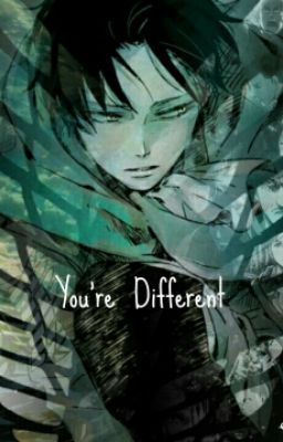 You're Different (Levi X Reader) cover