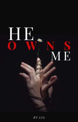 HE OWNS ME cover